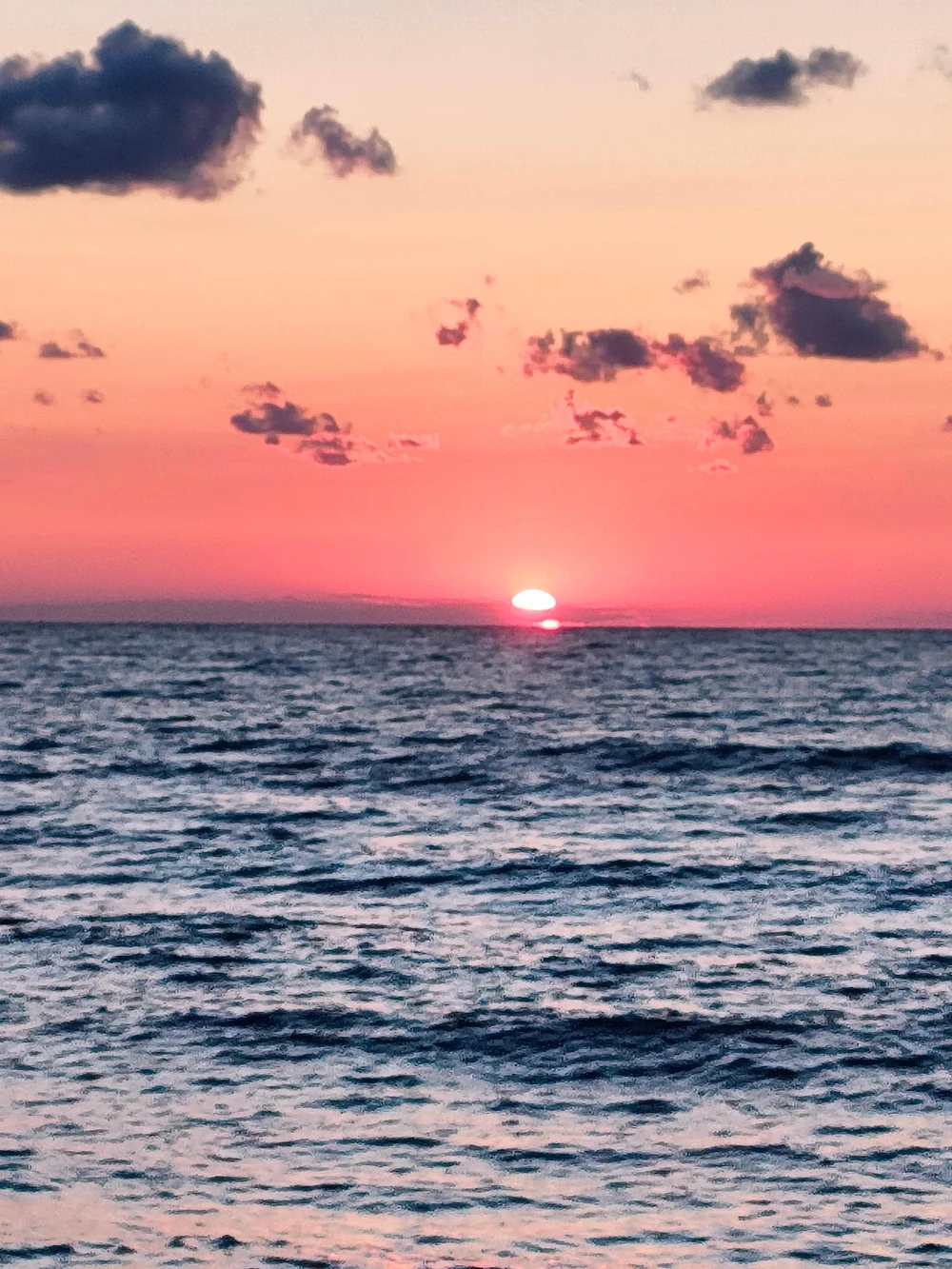 Стоимость на лето 2026 года: